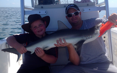 Inshore Shark